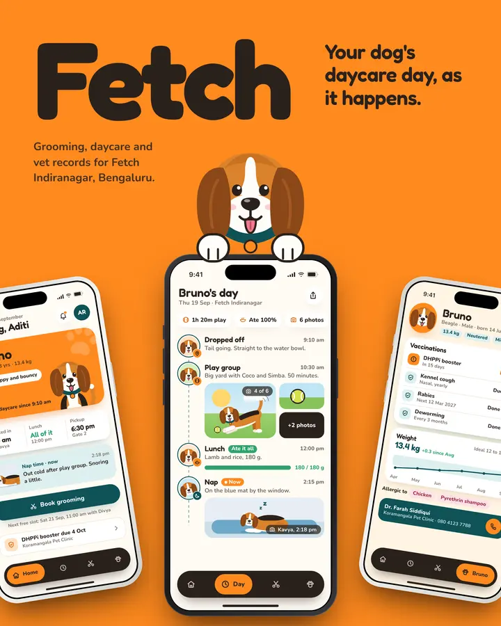 Fetch: Cover