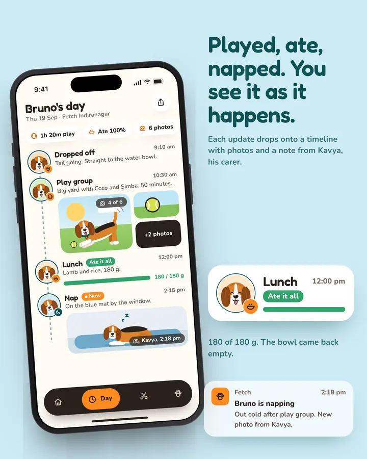 Fetch: Day timeline