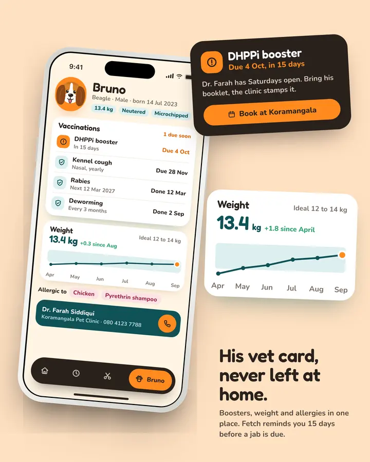 Fetch: Pet profile