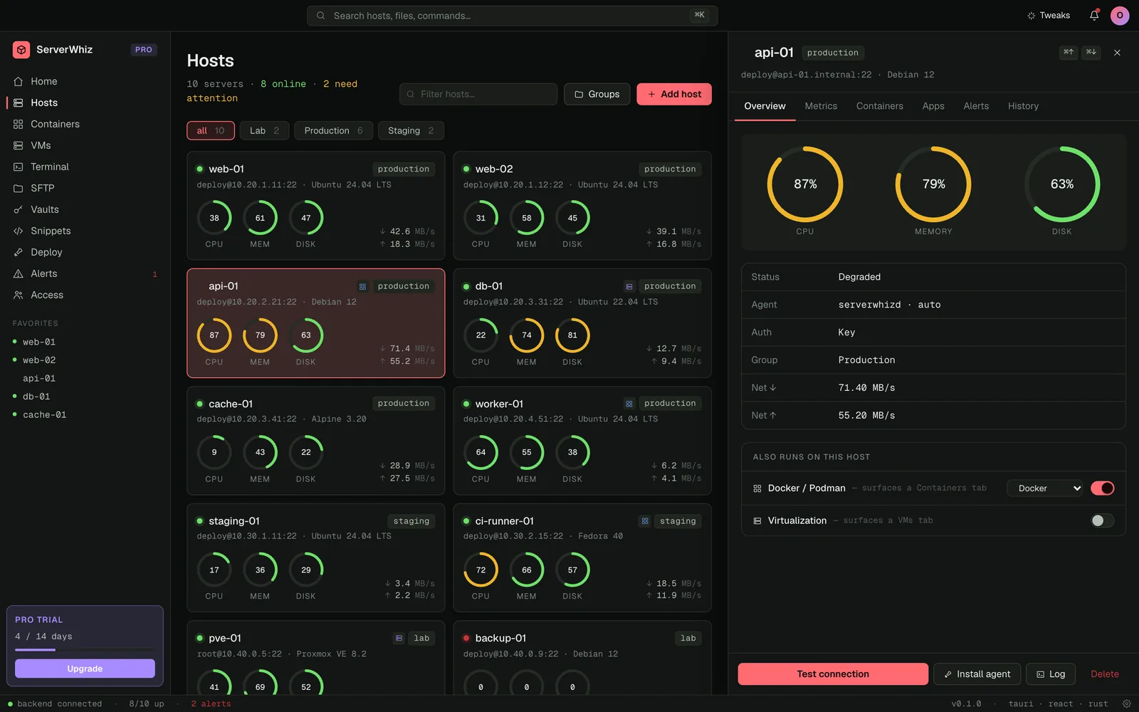 ServerWhiz: Host inspector